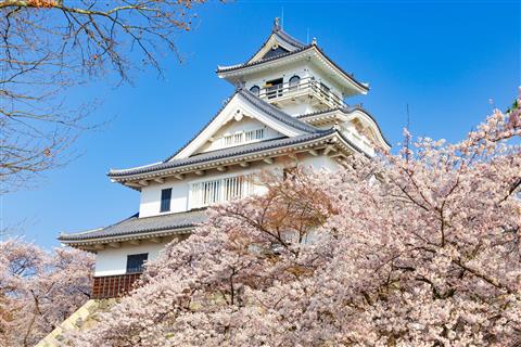 長浜城（4月頃撮影）